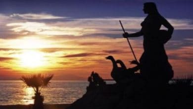 Sarı Kız Sarı Kız