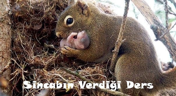 SİNCABIN VERDİĞİ DERS SİNCABIN VERDİĞİ DERS