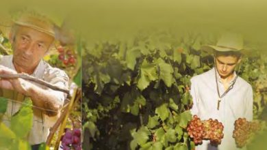 "Hep Büyük" Diye Öten Kuş