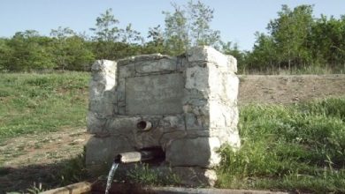 “Her Kula Helal, Müslümana Haram!.."