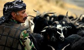 çobanın ziyafeti hikaye