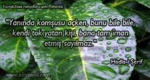 hadis
