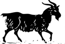 Çok Korkunç Bir o Kadar da Gizemli Bir Hikaye "Kara Keçi"