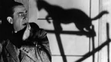 Korku Hikayelerinden; "Evde Tek Olduğumu Sanıyordum"