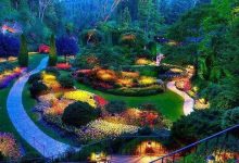 "Büyülü Bahçe" Hikayesi