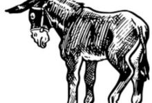 Bilgelik Hikayelerinden; "Eşeğin Gölgesi" (Anlatılan Şeyin Kıymeti)