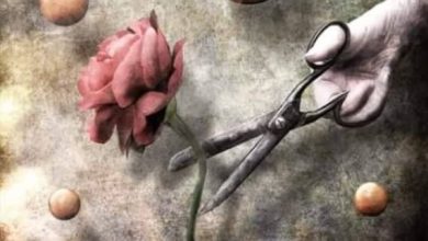 Sabahattin Ali Hikayelerinden; "Bir Firar"