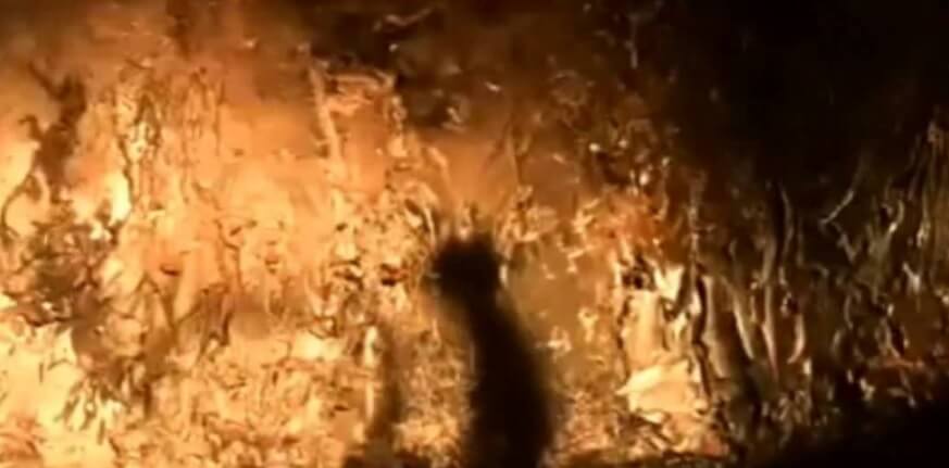 Korku Hikayelerinden; Hayal mi! Gerçek mi ? Son Bölüm Korku Hikayelerinden; Hayal mi! Gerçek mi ? Son Bölüm