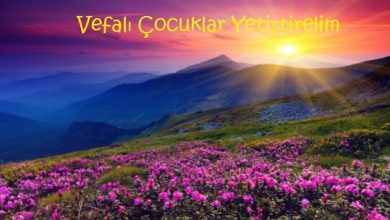 Vefalı Kuşaktık Vefalı Kuşaktık