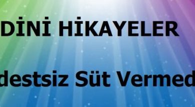 Dini Hikayelerden; "Abdestsiz Süt Vermedim" Dini Hikayelerden; "Abdestsiz Süt Vermedim"