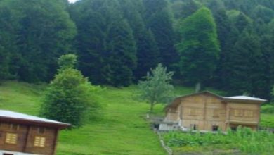 Korku Hikayesi Oku; "Cinli Yayla ve Nazire Hala" Korku Hikayesi Oku; "Cinli Yayla ve Nazire Hala"