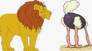 Serdar Yıldırım'dan; "Devekuşu İle Aslan" Masalı Serdar Yıldırım'dan; "Devekuşu İle Aslan" Masalı