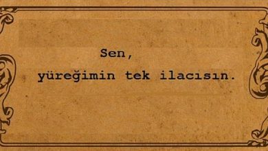 Hikaye Oku; "Naftalin Kokan Mektuplar -1-" Hikaye Oku; "Naftalin Kokan Mektuplar -1-"