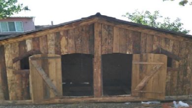 Çok Güzel Bir Hikaye; "Enes Kümes Kuruyor"