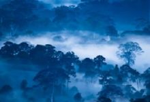 Taht Hırsızı Hikayesi 1. Bölüm