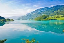 Rüya Ormanı Hikayesi 2. Bölüm