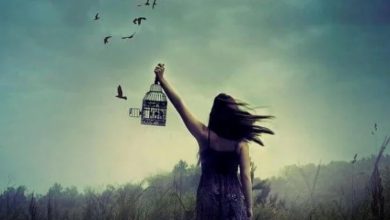 Düşündüren Hikayeler; “İz Bırakmış Sorular 2. Bölüm” Düşündüren Hikayeler; “İz Bırakmış Sorular 2. Bölüm”