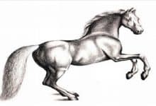 Bahadır Efsanesi 1. Bölüm