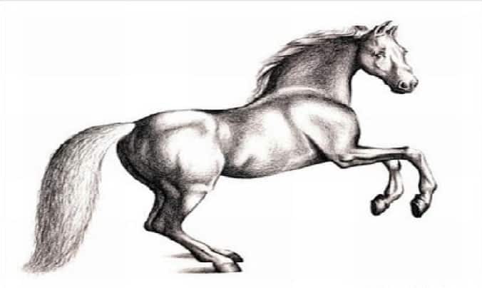 Bahadır Efsanesi 1. Bölüm Bahadır Efsanesi 1. Bölüm