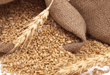 Bahadır Efsanesi 3. Bölüm