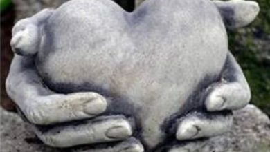 Bilgelik Hikayeleri; "İnsan Olmak" Bilgelik Hikayeleri; "İnsan Olmak"