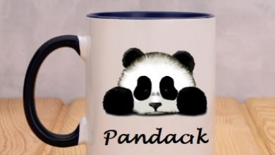 PANDACIK VE SİHİRLİ KUPA MASALI PANDACIK VE SİHİRLİ KUPA MASALI