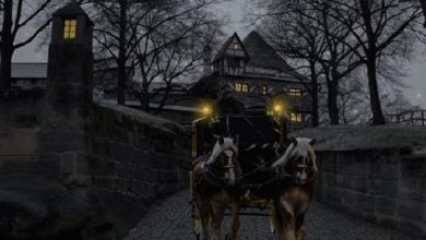 DÜNYA KLASİKLERİNDEN; "ARABACININ KOLTUĞUNDAN" DÜNYA KLASİKLERİNDEN; "ARABACININ KOLTUĞUNDAN"