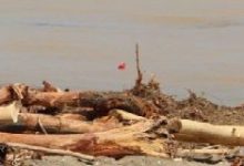 Bakım İster Buralar