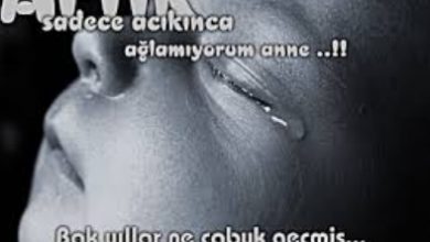 Gerçek ve Duygusal Bir Hikaye; "Gül Koptu Dalından" Gerçek ve Duygusal Bir Hikaye; "Gül Koptu Dalından"