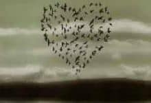 Aşk Hikayesi; “Salih İle Büşra” 9. Bölüm