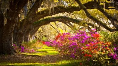 Hikaye Oku; "Onin ve Üç Yolcu" 2. Bölüm Hikaye Oku; "Onin ve Üç Yolcu" 2. Bölüm