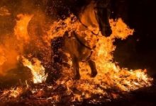 Hikaye Oku; "Onin ve Ateşin İçinden" 3. Bölüm