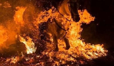 Hikaye Oku; "Onin ve Ateşin İçinden" 3. Bölüm Hikaye Oku; "Onin ve Ateşin İçinden" 3. Bölüm