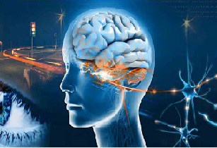 Duygusal ve Düşündüren Bir Hikaye; "Gerçekten Görüyor Muyuz?" Duygusal ve Düşündüren Bir Hikaye; "Gerçekten Görüyor Muyuz?"