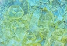 Genesis’ten Yeni Bir Hikaye; (Beşinci Bölüm: Rikanlar)