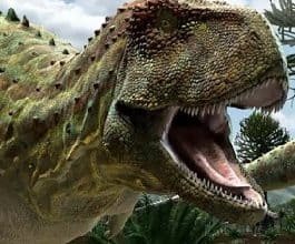 Hikaye Oku; Nedir Bu? (2. Bölüm)