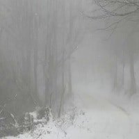 Güzel Bir Aşk Hikayesi: "Tipi"