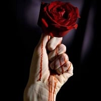 Güzel Bir Hikaye: "Cemal İle Süreyya"