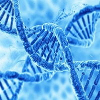 Fantastik Hikayeler; "Tek Çare Başlangıç" Fantastik Hikayeler; "Tek Çare Başlangıç"