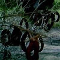Hikaye: "Sucuk Ağacı" Hikaye: "Sucuk Ağacı"