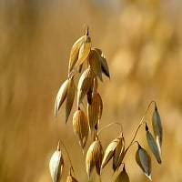 Dehşet Hikayeleri "LANETLİ" 2. Bölüm Dehşet Hikayeleri "LANETLİ" 2. Bölüm