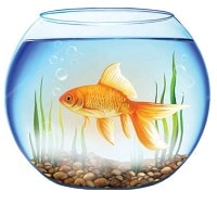 Şiir: Akvaryumdaki Balık Kadar Yalnız Şiir: Akvaryumdaki Balık Kadar Yalnız