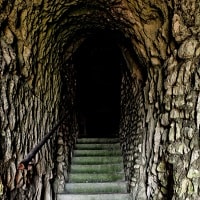 Korku Hikayesi “Hayaletin Sırrı” 3. Kitap 15. Bölüm Korku Hikayesi “Hayaletin Sırrı” 3. Kitap 15. Bölüm